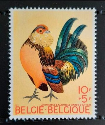 Belgique : COB 1513 ** Neerhofdieren 1969., Sans timbre, Neuf, Enlèvement ou Envoi, Non oblitéré