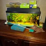 Aquarium 60 liter., Ophalen, Gebruikt