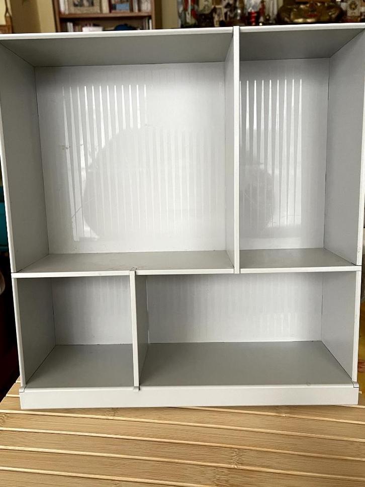 Kallax Designer Chenyi Ke met 2 inzetstukken, Huis en Inrichting, Woonaccessoires | Wandplanken en Boekenplanken, Nieuw, Ophalen