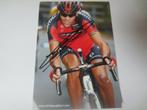 wielerkaart 2013 team bmc philippe gilbert signe, Comme neuf, Envoi