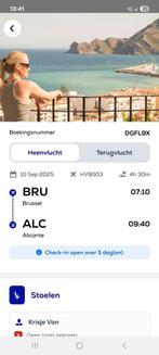 Vliegtuig tickets Brussel - Alicante en retour, Vliegtuig