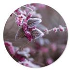 Muurcirkel Winter berry, Ophalen of Verzenden, Nieuw
