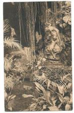 Antwerpen dierentuin feestpaleis wintertuin, Verzenden, Ongelopen, Antwerpen