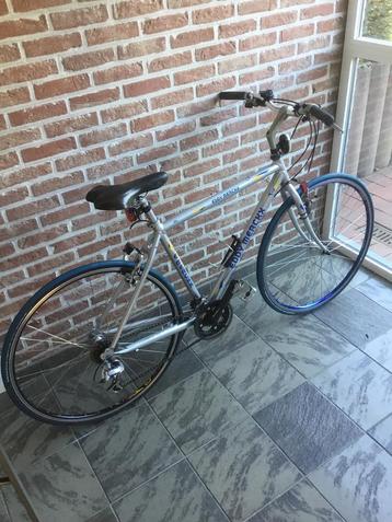 Vélo EDDY MERCKX pour homme, Enlèvement, Utilisé