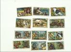 Victoria Old Chromos : série J mammifères + N singes complèt, Collections, Avant 1940, Enlèvement ou Envoi, Animal