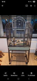 Vogelkooi, Ophalen, Gebruikt, Vogelkooi