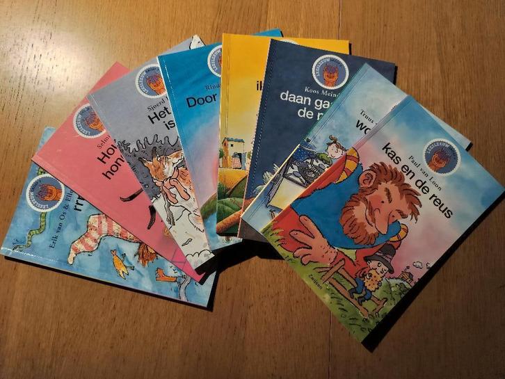 leesleeuw groep 3  1ste leerjaar, Boeken, Kinderboeken | Jeugd | onder 10 jaar, Zo goed als nieuw, Ophalen