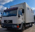 MAN 8153 paardenvrachtwagen, Auto's, MAN, Bedrijf, Te koop, Euro 1