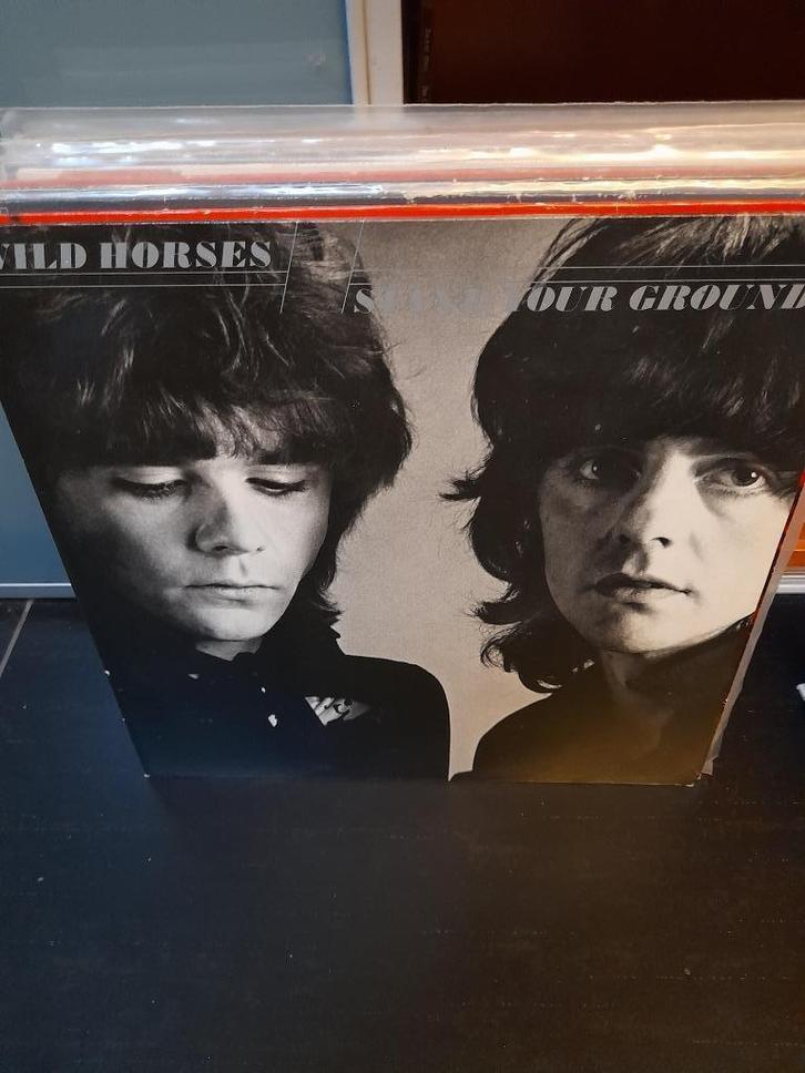 lp - wild horses - stand your ground, Cd's en Dvd's, Vinyl | Hardrock en Metal, Zo goed als nieuw, Ophalen of Verzenden