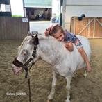 Pinto pony maat 1m05, Dieren en Toebehoren, Ruin, Niet van toepassing, A pony (tot 1.17m), Ontwormd