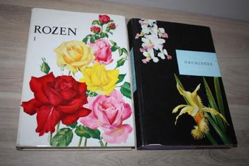 2 Artis boeken , Rozen NL ,Orchidées FR , 1965 compleet beschikbaar voor biedingen