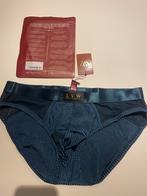 Slip Lvw Alluring Mesh Nouveau, Vêtements | Hommes, Sous-vêtements, Envoi, Bleu, Lvw, Slip