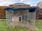 Hondenbench met dak & hok op betonnen vloer, Dieren en Toebehoren, Ophalen, Hondenkennel, 100 cm of meer, 110 cm of meer