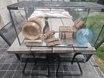 Complete hamsterkooi / knaagdieren terrarium met accessoires, Dieren en Toebehoren, Ophalen, Kooi, Gebruikt, 60 tot 90 cm