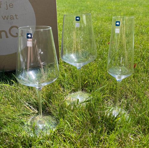 LEONARDO PUCCINI Wijnglazenset, Huis en Inrichting, Keuken | Servies, Nieuw, Glas of Glazen, Overige stijlen, Glas, Ophalen of Verzenden
