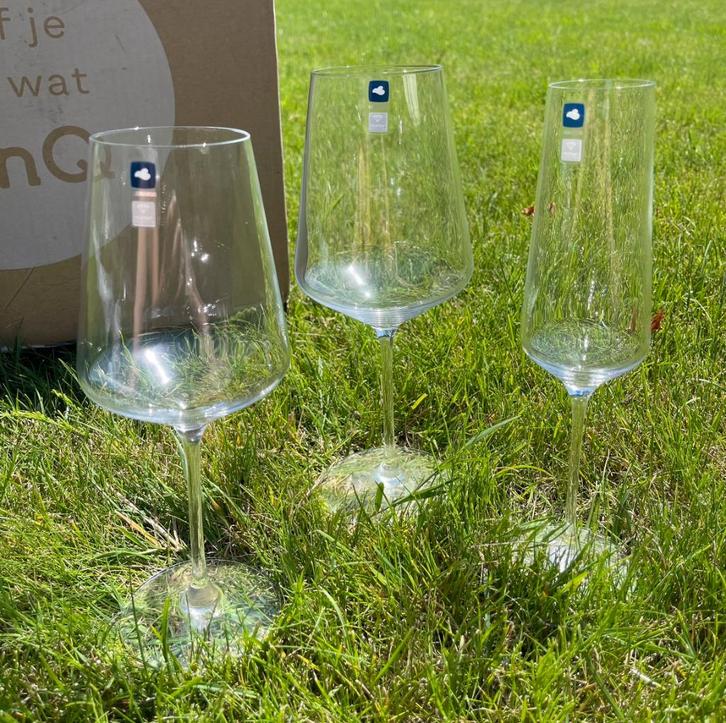 LEONARDO PUCCINI Wijnglazenset, Huis en Inrichting, Keuken | Servies, Nieuw, Glas of Glazen, Overige stijlen, Glas, Ophalen of Verzenden