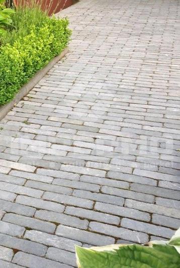 Hanoi waaltjes beschikbaar voor biedingen