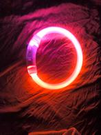 Collier led pour petit chien neuf, Enlèvement