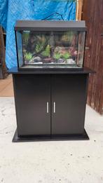 Aquarium + benodigdheden en kast, Dieren en Toebehoren, Ophalen, Zo goed als nieuw