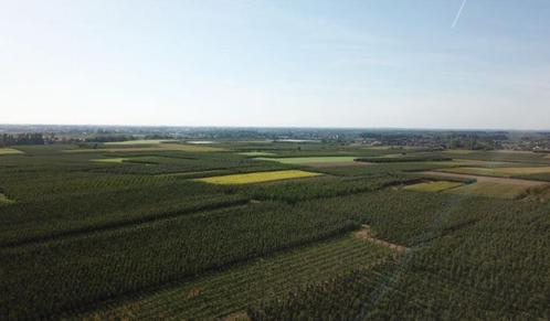 Landbouwgrond te koop, Immo, Gronden en Bouwgronden, 1500 m² of meer