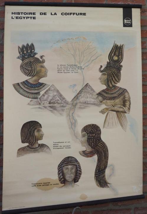 schoolplaat histoire de la coiffure l'egypte uitgave wella, Antiquités & Art, Antiquités | Cartes scolaires, Histoire, Enlèvement ou Envoi