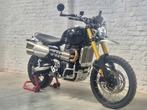 Triumph Scrambler 1200 XE @motomobilia, Motoren, 2 cilinders, Handvatverwarming, Motorrijbewijs A, Bedrijf