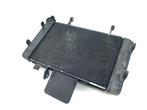 RADIATEUR Suzuki DL 650 V-Strom XT 2015 (DL650), Motoren, Gebruikt