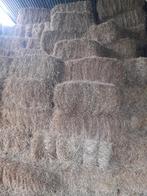 Kleine botten hooi te koop, Enlèvement