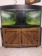 Aquarium de coin 350L + meuble, Animaux & Accessoires, Enlèvement, Utilisé, Aquarium vide