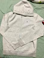 Pull homme à capuche avec tirette, Vêtements | Hommes, Pulls & Vestes, Neuf, Gris, Tommy Hilfiger, Enlèvement