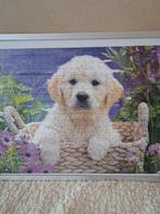 Ingelijste puzzel hondje, Ophalen