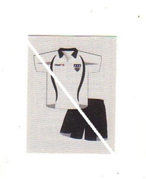 Panini Football 2011 KAS Eupen / 1 sticker - truitje, Verzamelen, Sportartikelen en Voetbal, Nieuw, Poster, Plaatje of Sticker
