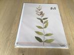 Posters IKEA, 2 stuks, nieuw, Huis en Inrichting, Ophalen of Verzenden, Nieuw