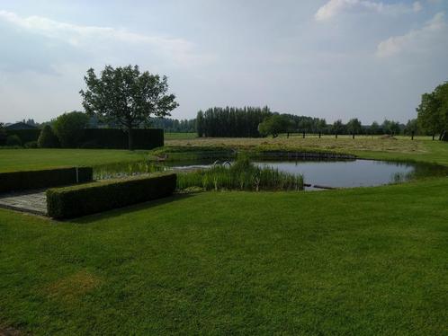 Alle toestellen voor zwem- of koi vijver., Tuin en Terras, Vijver-toebehoren, Gebruikt, Overige typen, Ophalen