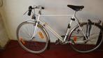 Fietsen, Gebruikt, Versnellingen, 53 tot 57 cm, Ophalen