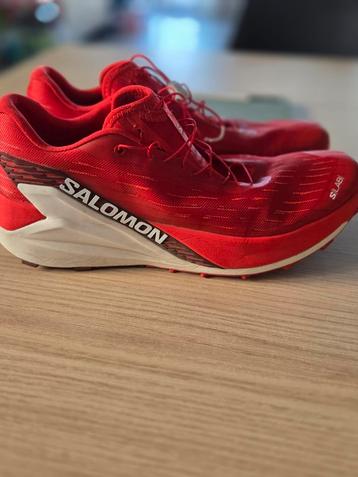 Salomon Slab Pulsar 4 (EU 44) beschikbaar voor biedingen
