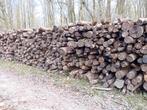 Bois de chauffage sec, Jardin & Terrasse, Enlèvement ou Envoi, Hêtre, Bûches