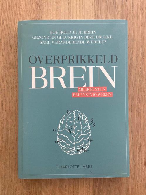 Charlotte Labee - Overprikkeld brein, Boeken, Psychologie, Zo goed als nieuw, Ophalen of Verzenden