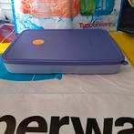 Boîte de congélation Tupperware Datafresh basse Nouveau, Enlèvement ou Envoi, Neuf, Violet