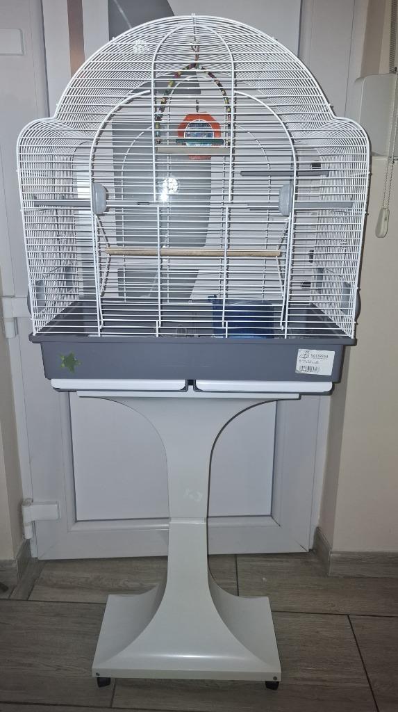 Grote staande kooi voor vogels met accessoires, Dieren en Toebehoren, Vogels | Hokken en Kooien, Ophalen of Verzenden