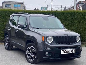 Jeep Renegade 1.6 MJD Night Eagle - 1e Main - Garantie 12 Mo beschikbaar voor biedingen
