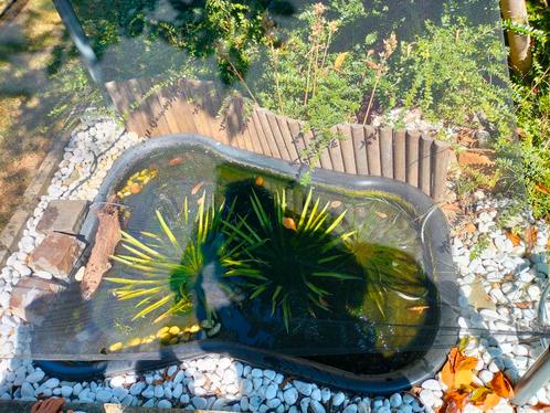Visvijver met 5 goudvissen, Tuin en Terras, Vijvers, Gebruikt, Ophalen