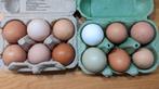 Oeufs de poule bio, Divers, Produits alimentaires, Enlèvement