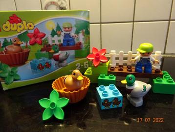 DUPLO Bos Eenden - 10581 De eenden zijn aan het ploeteren... beschikbaar voor biedingen