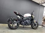 Benelli 752 S (année de construction 2024), Entreprise, Plus de 35 kW, 754 cm³, Autre