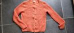 oranje wollen trui / vest van Gigue maat 36 of Smal, Kleding | Dames, Truien en Vesten, Gigue, Oranje, Ophalen of Verzenden, Zo goed als nieuw