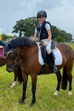 Te koop: lieve C-pony met wedstrijdervaring (dressuur), Dieren en Toebehoren, Pony's, Merrie, Met stamboom, Dressuurpony, M