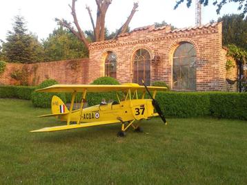 Tiger Moth TC 2m80, Enlèvement ou Envoi