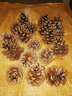 denneappels, Diversen, Ophalen