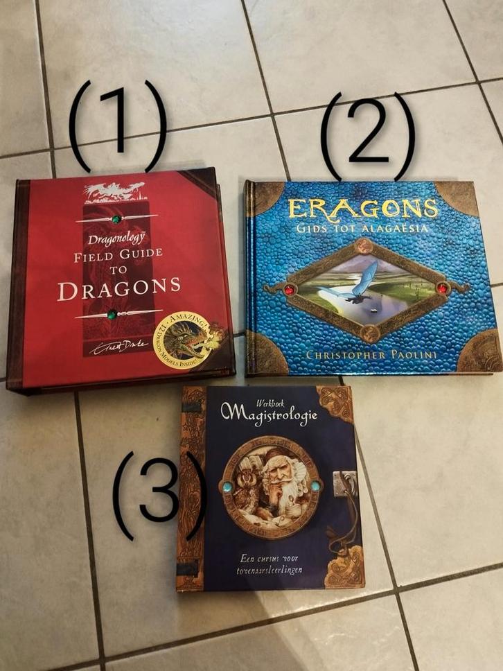 Draken en tovenaar boeken, Boeken, Esoterie en Spiritualiteit, Gelezen, Ophalen of Verzenden